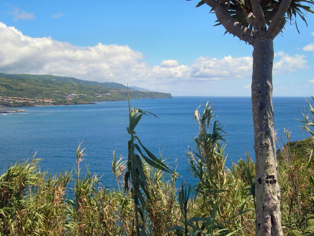 Casa Quinta Do Marques Villa Ponta Delgada Kültér fotó