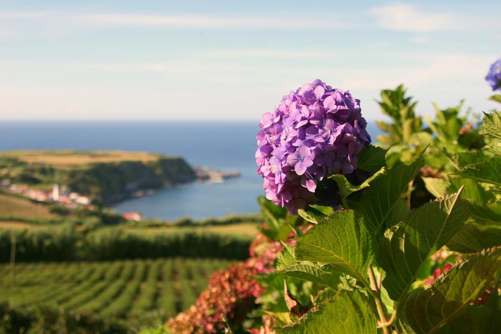 Casa Quinta Do Marques Villa Ponta Delgada Kültér fotó